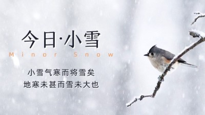 今日小雪：天漸寒，雪漸盛，愿您安康！