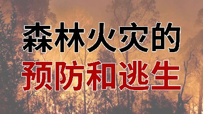 國(guó)晉消防-小知識(shí)科普之森林火災(zāi)的預(yù)防與逃生