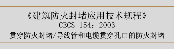 建筑防火封堵應(yīng)用技術(shù)規(guī)程-貫穿防火封堵、導(dǎo)線管和電纜貫穿孔口的防火封堵-700